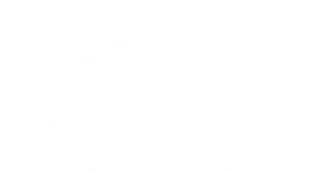 Wildernest Outdoor Store